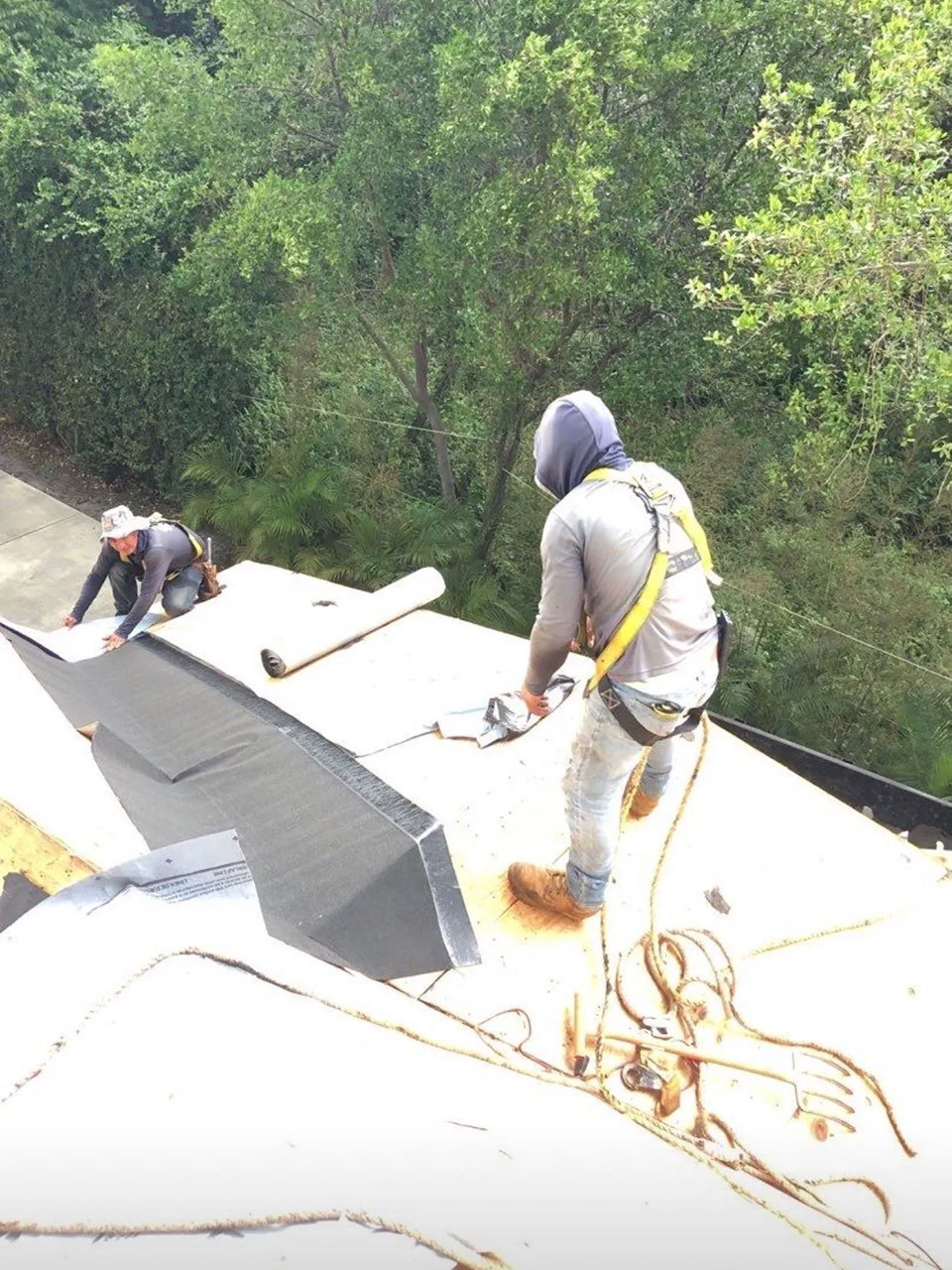Roofers in safety harnesses rolling out underlayment on a low-slope roof
