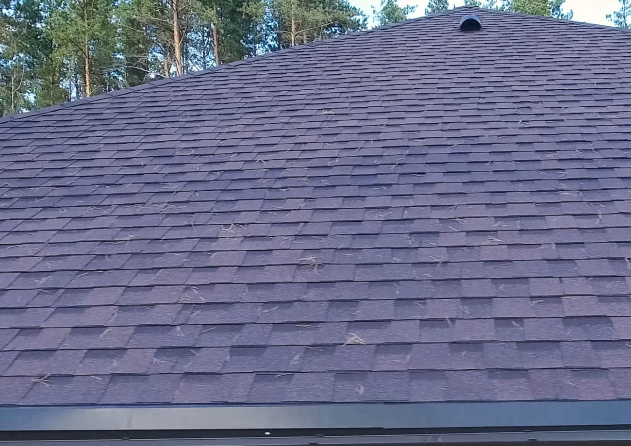 Low-slope roof covered in dark asphalt shingles with trees behind