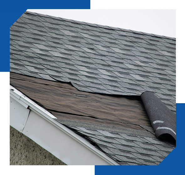 Wind-damaged asphalt shingle roof with a strip of shingles peeled back, exposing the underlayment
