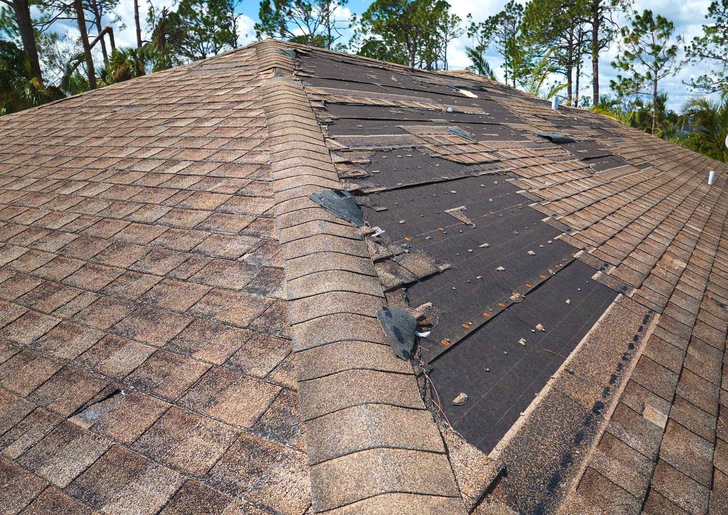 Hurricane-damaged shingle roof with large sections of shingles torn off, exposing the underlayment