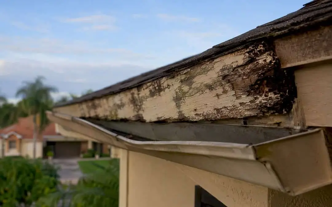 Fascia Board Rot: How to Spot It, Fix It, and Stop It