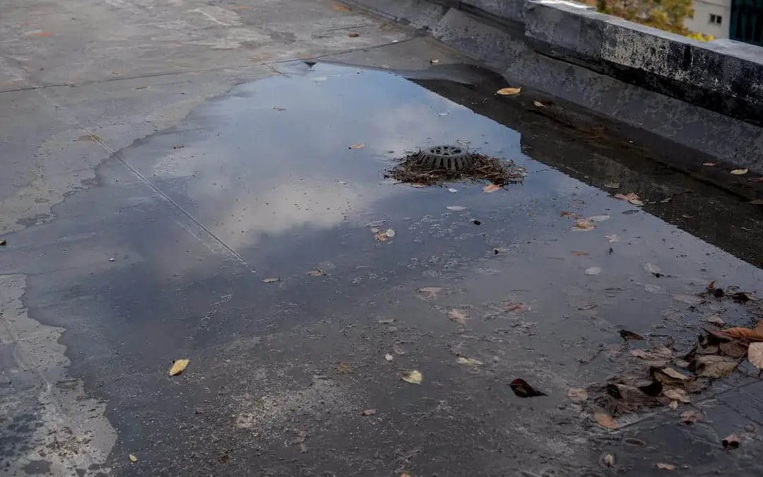 Standing Water on Your Flat Roof: When It’s a Real Problem