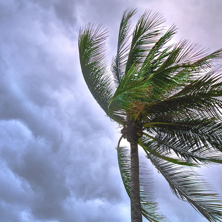 roof storm