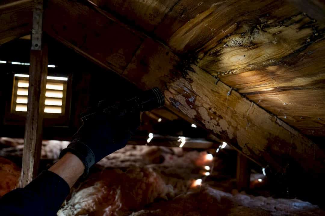 Hands inspecting water stains in attic