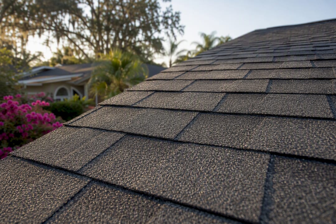 Close-up of architectural asphalt shingles on roof
