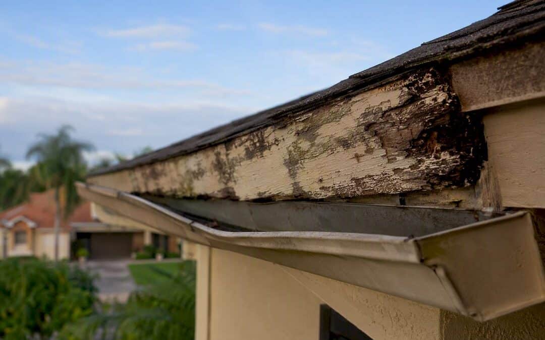 Fascia Board Rot: How to Spot It, Fix It, and Stop It