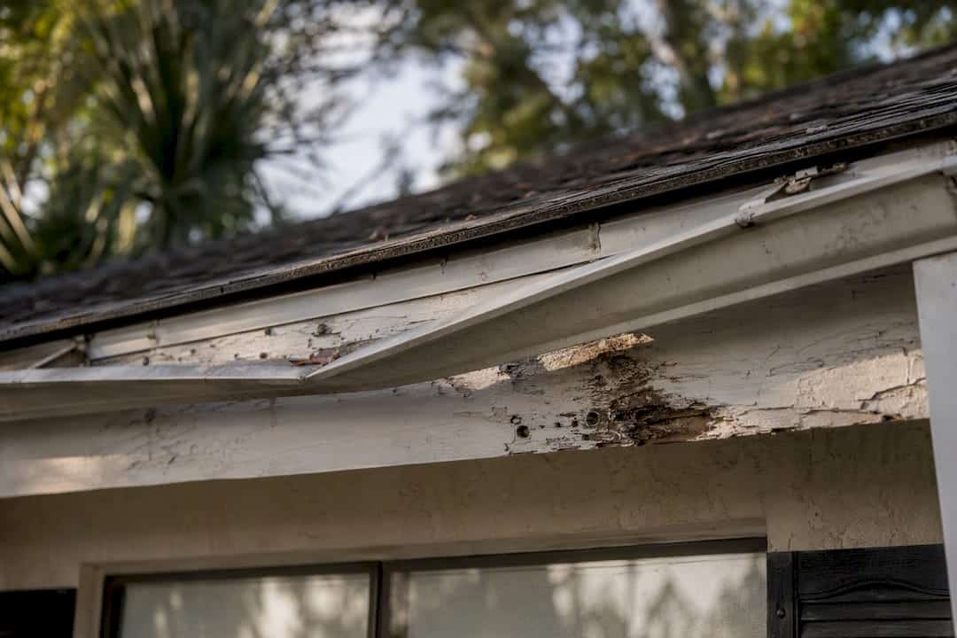 Sagging gutter causing fascia damage