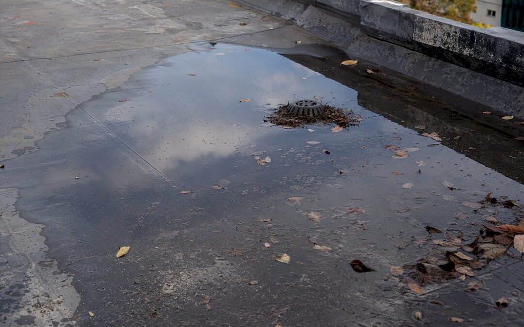 Standing Water on Your Flat Roof: When It’s a Real Problem